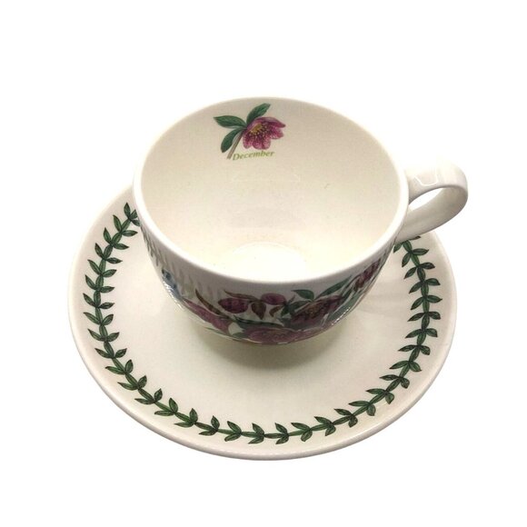 Portmeirion Botanic Garden "December" Teacup & Saucer Set With Purple Hellebore - Picture 5 of 14